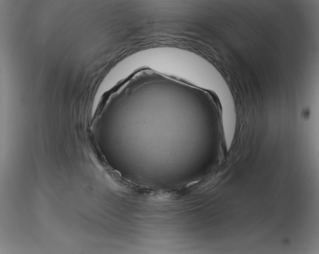 X0000116280235200912211826