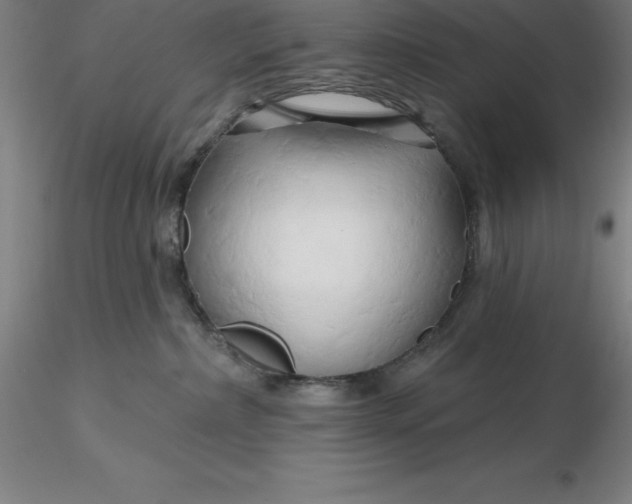 X0000116280236200912211826