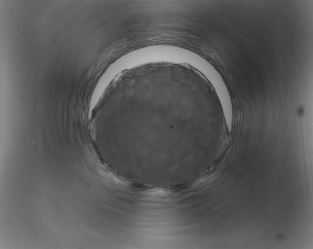 X0000116280237200912211826