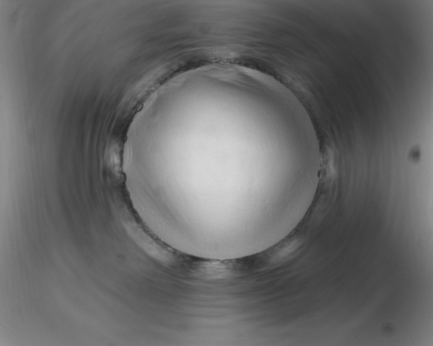 X0000116280238200912211825