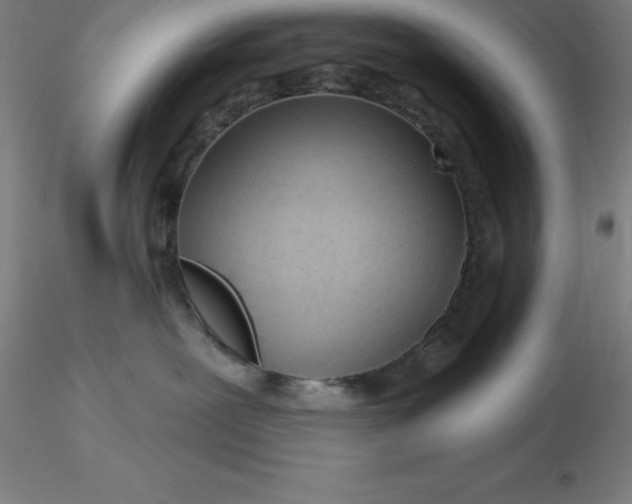 X0000116280239200912211825