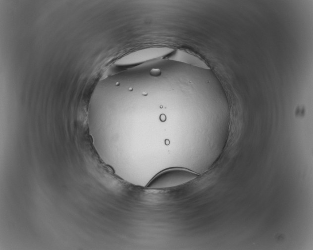 X0000116280240200912211825