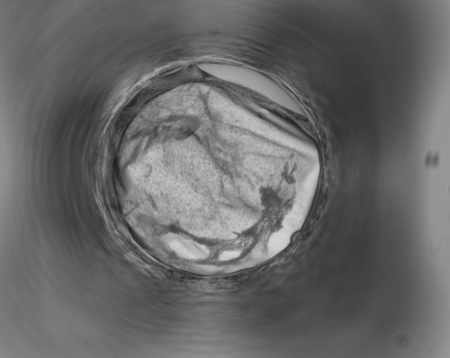 X0000116280241200912211825