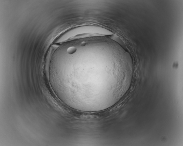 X0000116280242200912211825