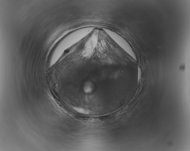 X0000116280243200912211825