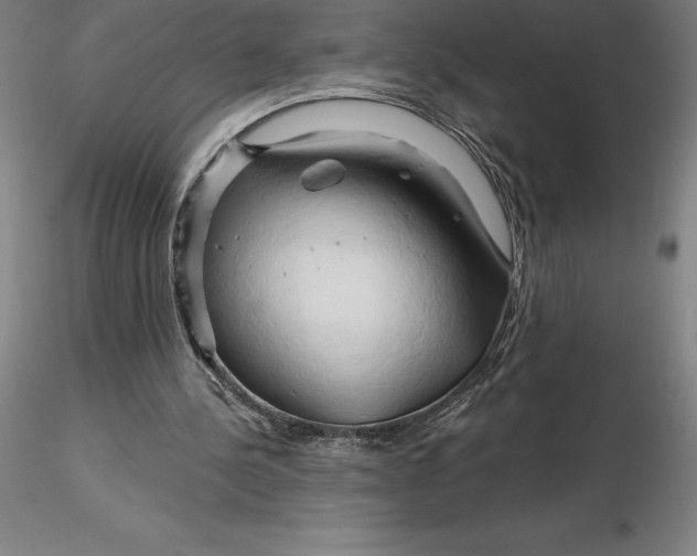 X0000116280244200912211825