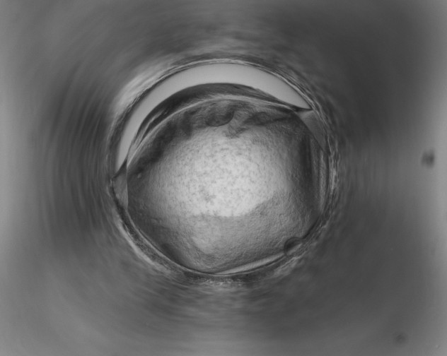 X0000116280245200912211825