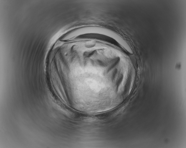 X0000116280246200912211825