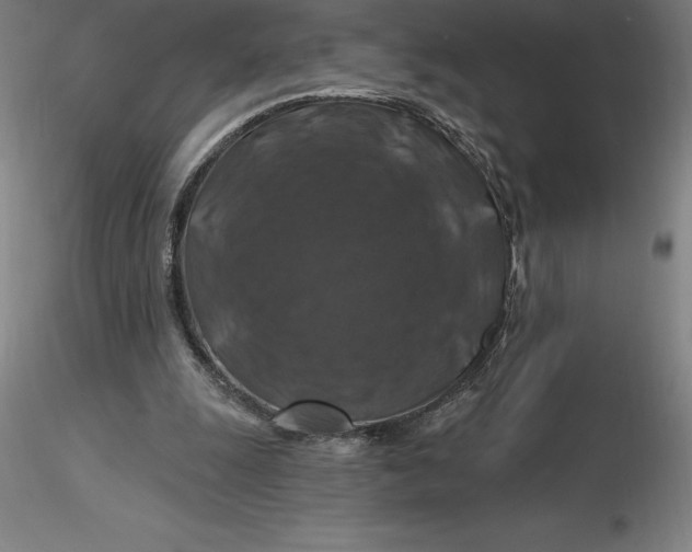 X0000116280247200912211825