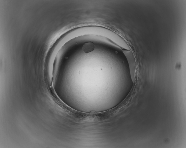 X0000116280248200912211825