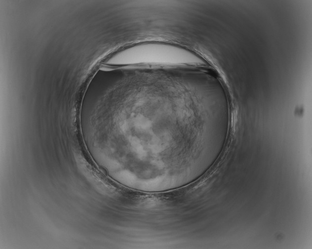 X0000116280249200912211825