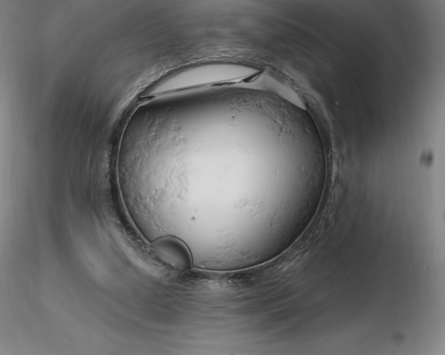 X0000116280250200912211825
