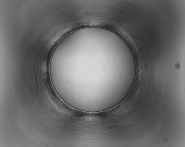 X0000116280251200912211825