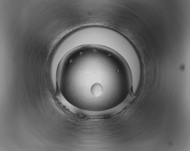 X0000116280252200912211825