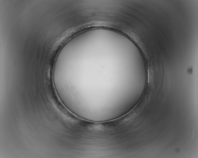 X0000116280253200912211825