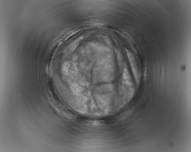 X0000116280254200912211825