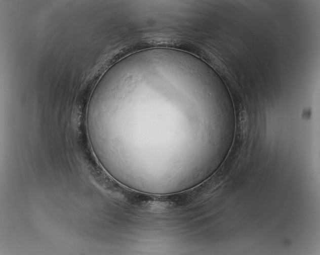 X0000116280255200912211825