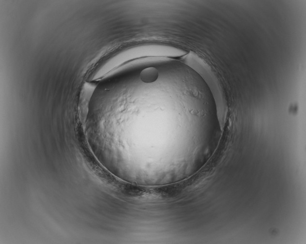 X0000116280256200912211825