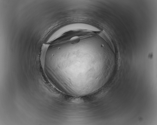 X0000116280258200912211825