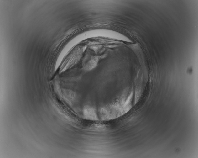 X0000116280260200912211825