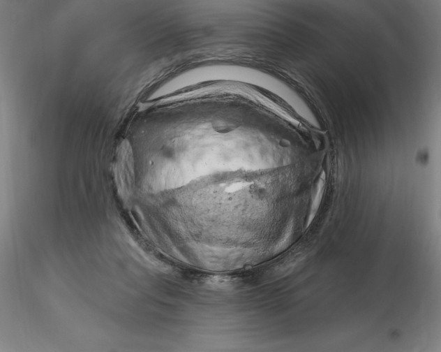 X0000116280261200912211825