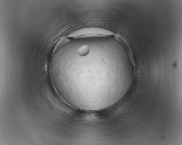 X0000116280262200912211825