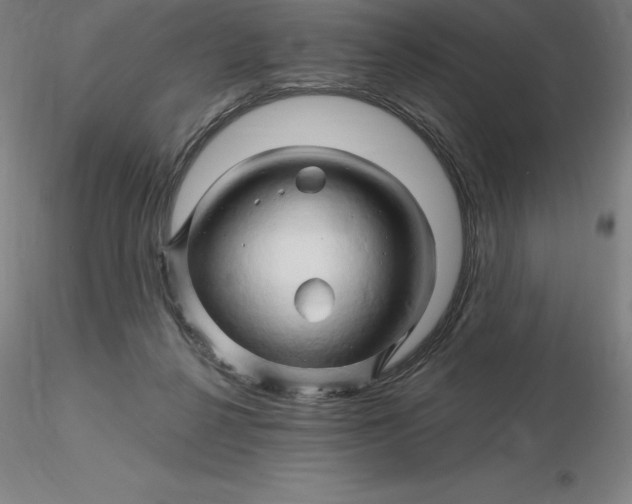 X0000116280264200912211825