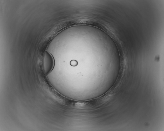 X0000116280265200912211825