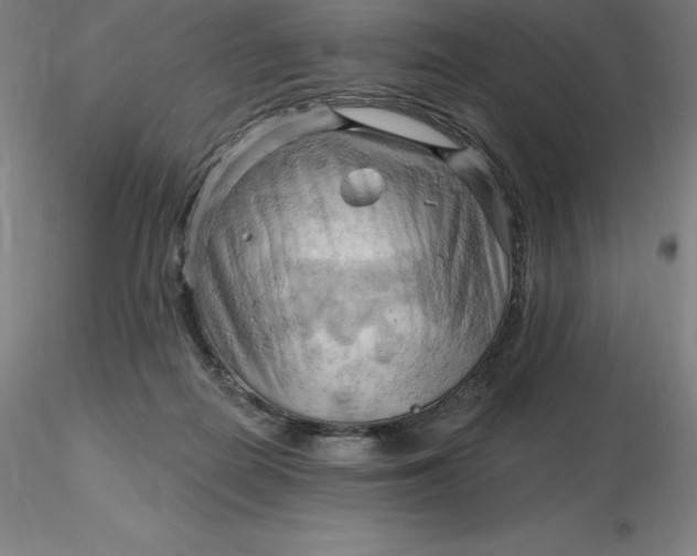 X0000116280266200912211825