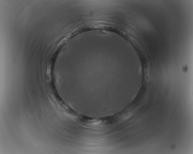 X0000116280267200912211825