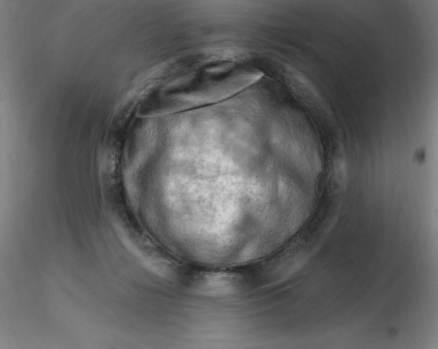 X0000116280268200912211825