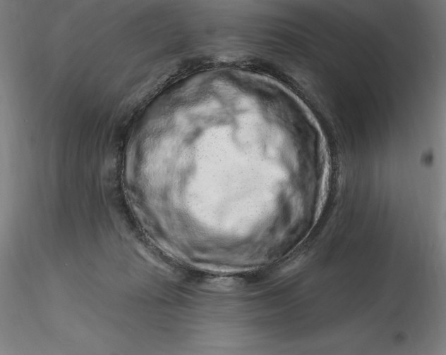 X0000116280269200912211825