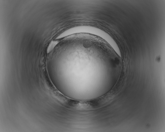 X0000116280270200912211825