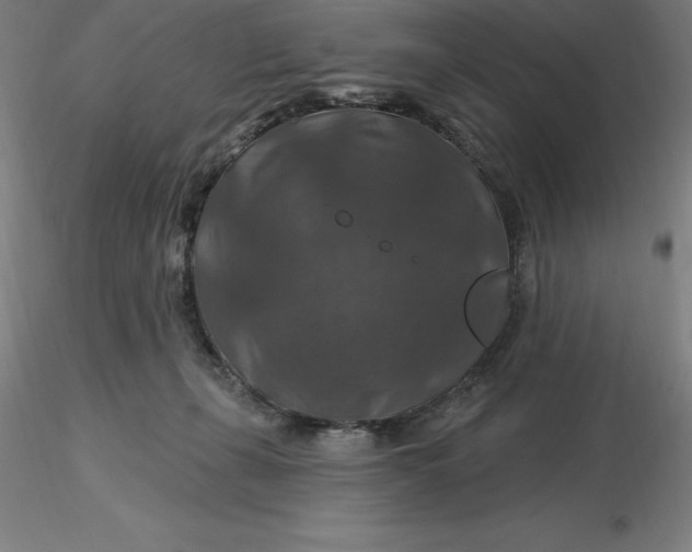 X0000116280271200912211825