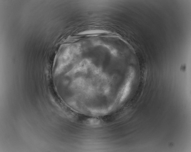 X0000116280272200912211825