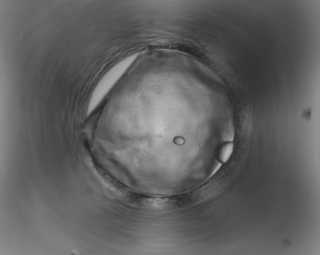 X0000116280273200912211825