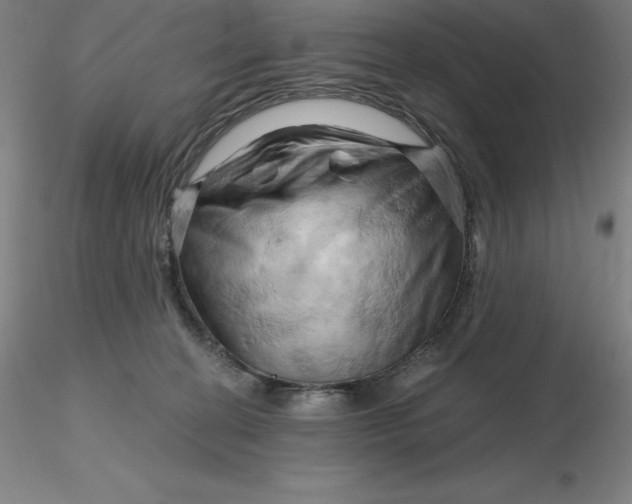 X0000116280274200912211825