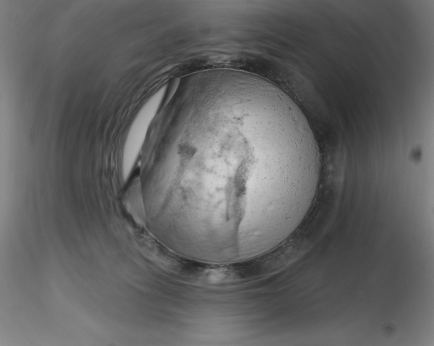 X0000116280275200912211825