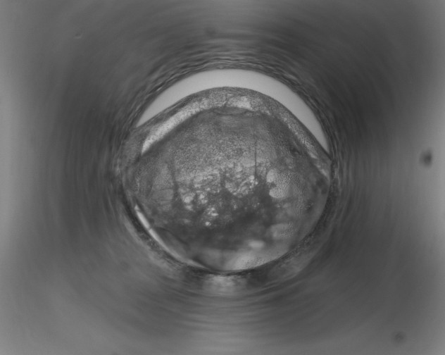 X0000116280277200912211825