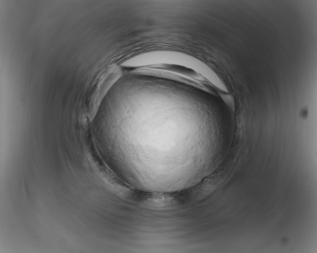 X0000116280278200912211825