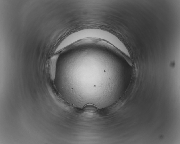 X0000116280280200912211825