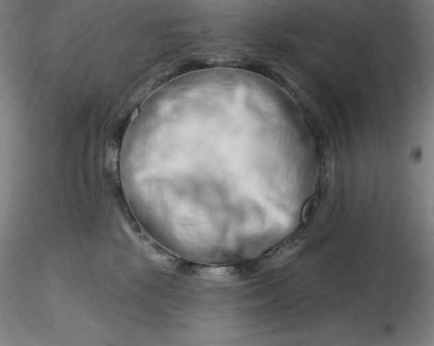 X0000116280281200912211825