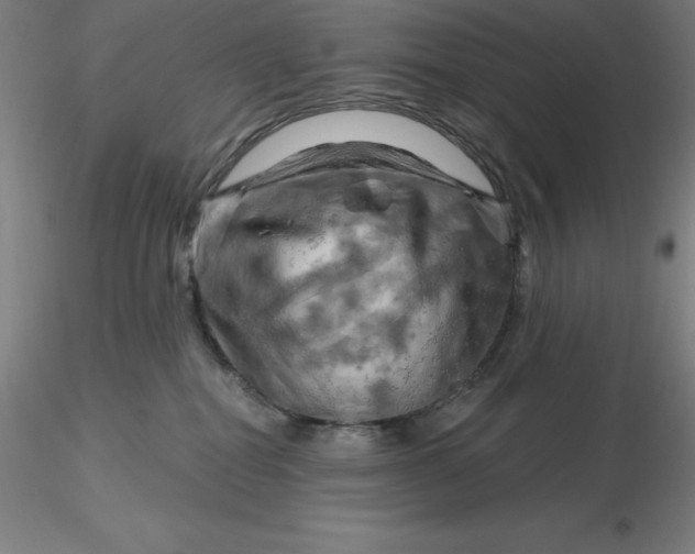 X0000116280282200912211825