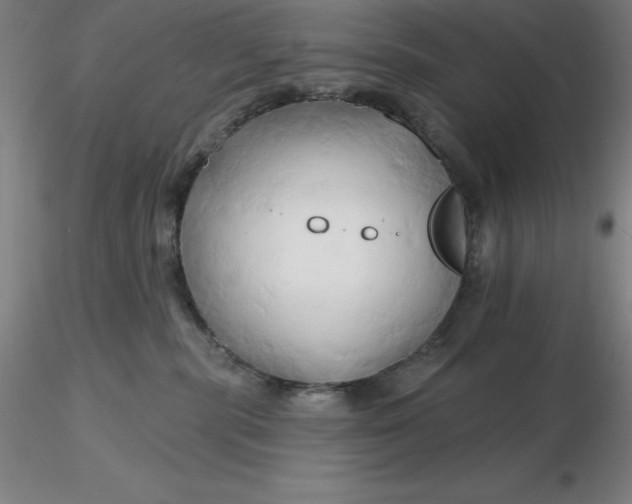 X0000116280283200912211825