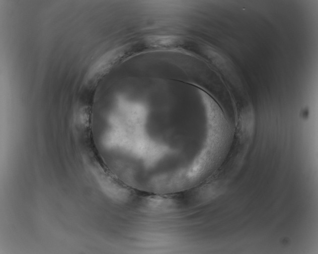 X0000116280284200912211825