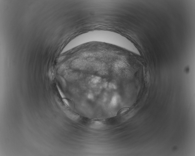 X0000116280285200912211825