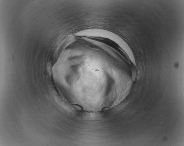 X0000116280286200912211825