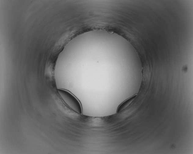 X0000116280287200912211825