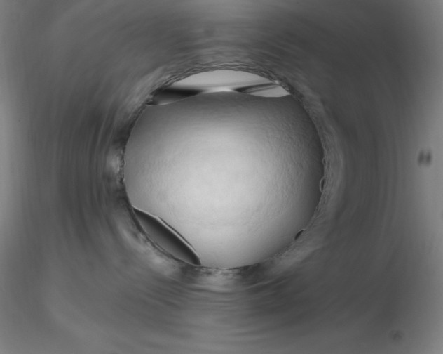 X0000116280288200912211825