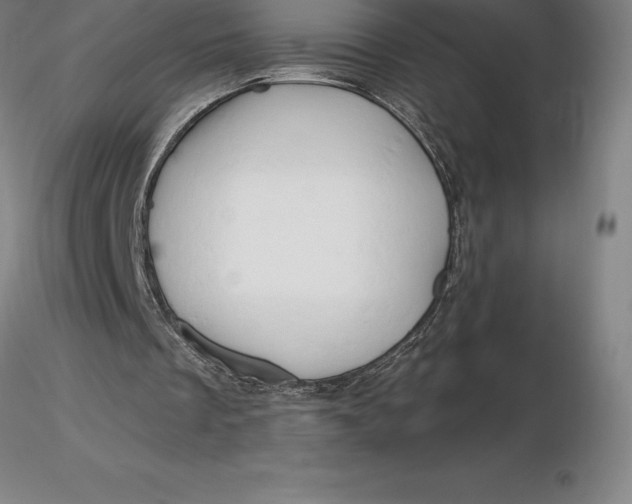 X0000116280289200912211825